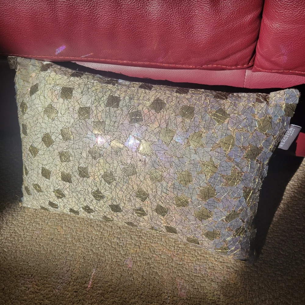 Kenneth Cole Reaction Home Decorative Pillow ~ Sequin Accents ~ GUC ~ Pretty!
